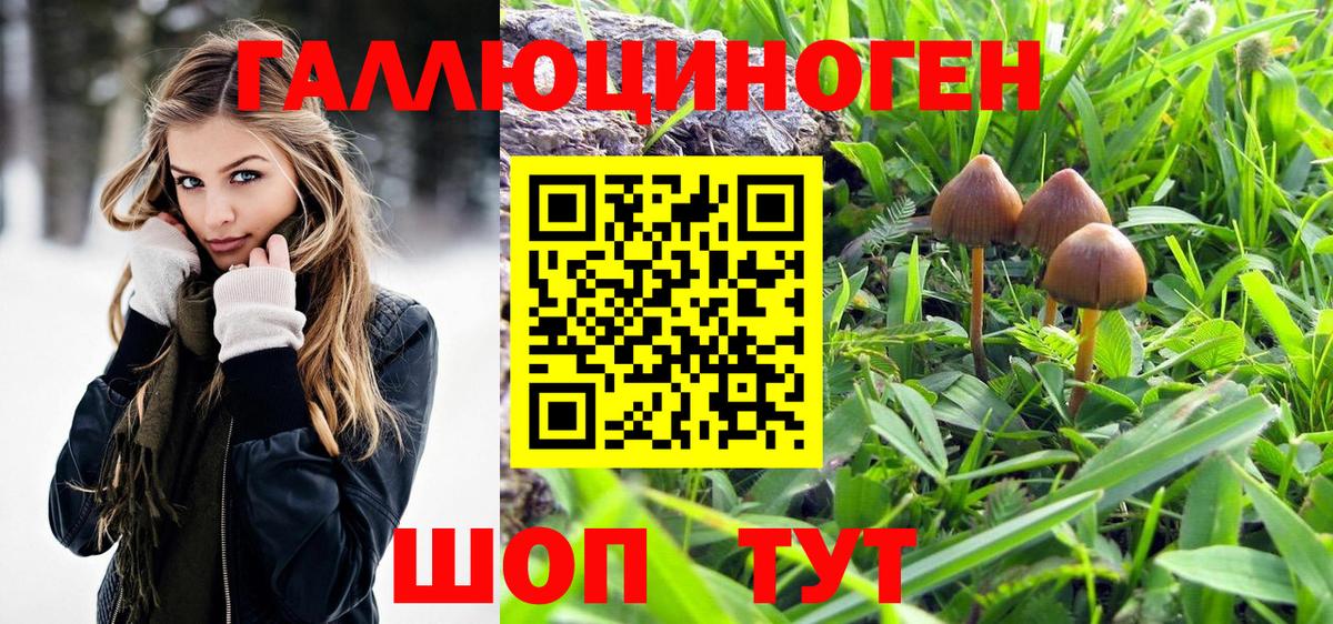 Псилоцибиновые грибы мицелий  Вход с VPN  Пыть-Ях  Галлюциногенные грибы Psilocybine cubensis 